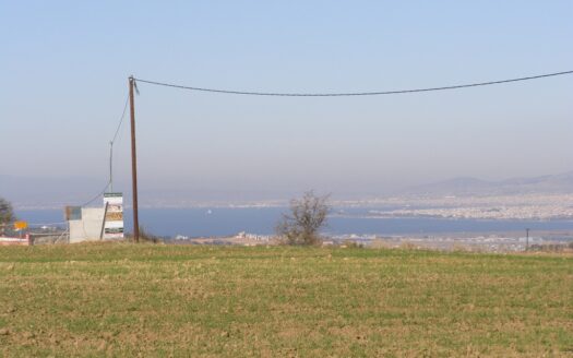 ΜΕΖΟΝΕΤΑ ΣΧΟΛΑΡΙ